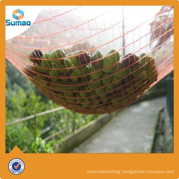 Olive netting Olive Harvesting Net with UV Protection for sale